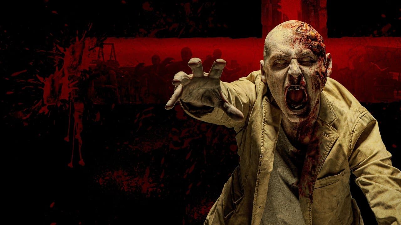 Backdrop – Paradise Z