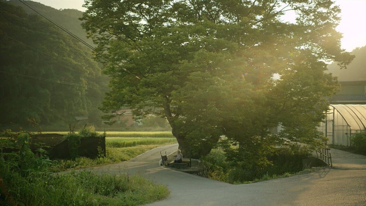 Backdrop – 여름밤의 소리