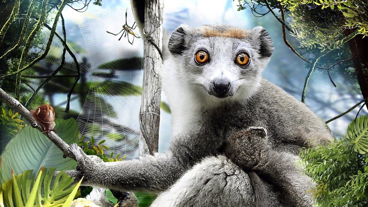 Backdrop – Madagascar 3D