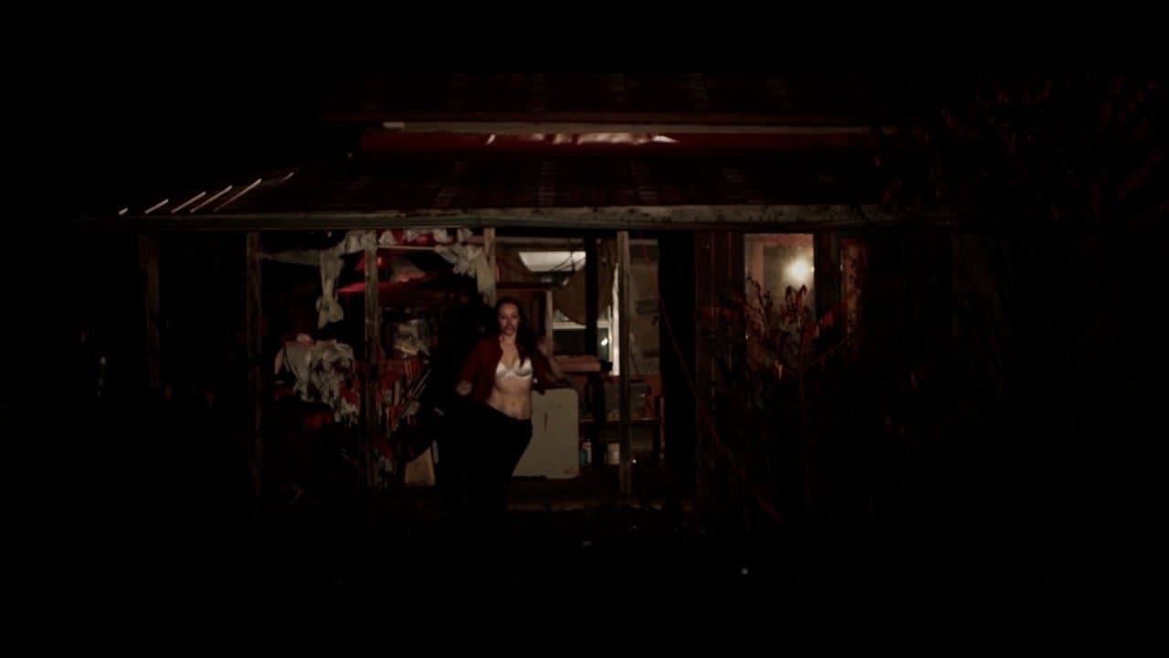 Backdrop – Horror and Hamsters