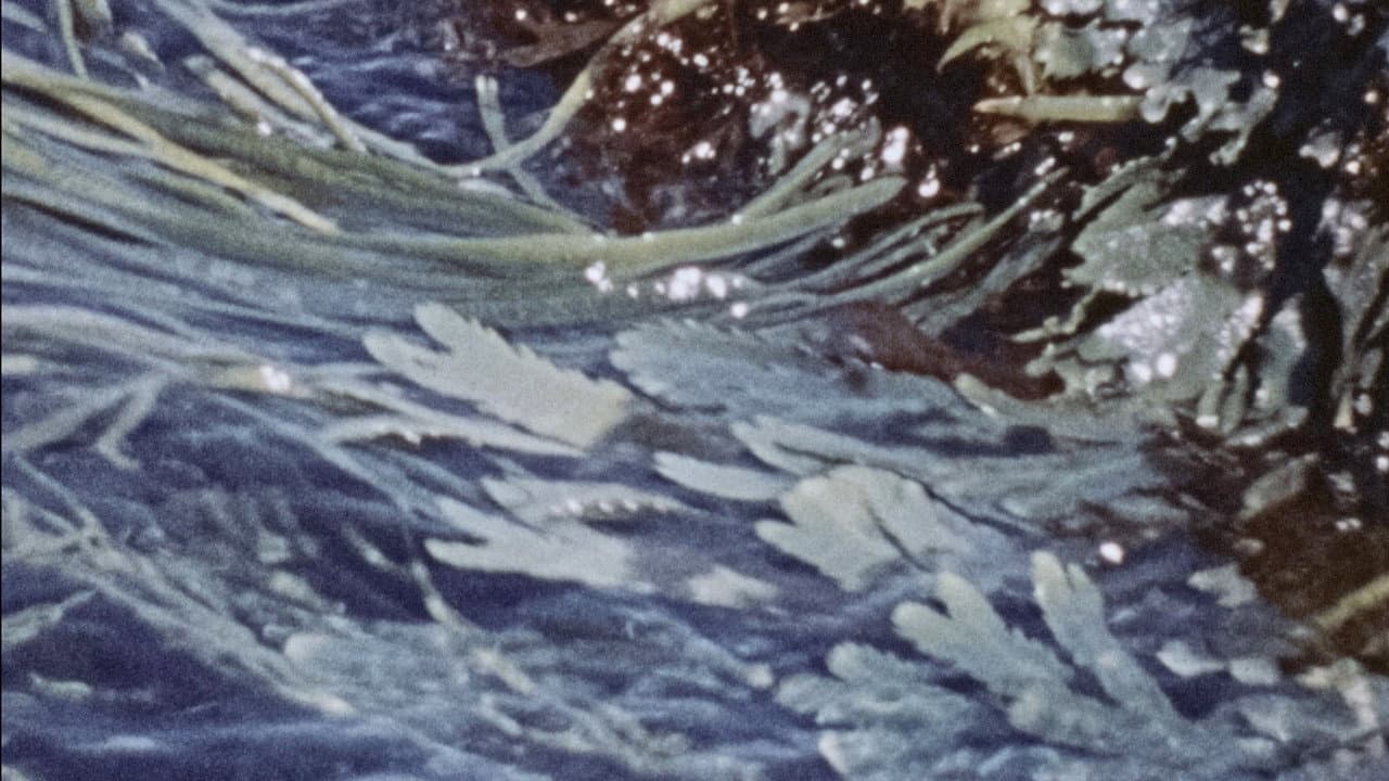 Backdrop – Waves