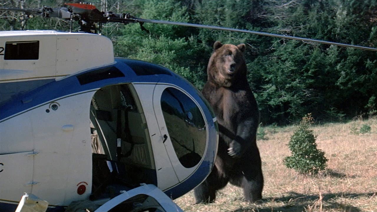 Backdrop – Grizzly - Tödliche Klauen
