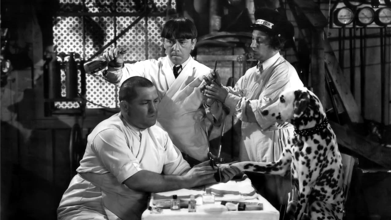 Backdrop – Mutts to You