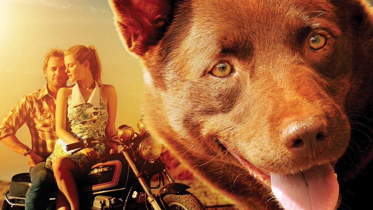 Backdrop – Red Dog