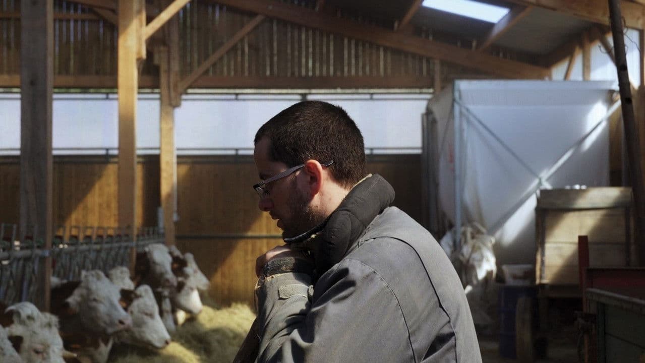 Backdrop – Cyrille, agriculteur, 30 ans, 20 vaches, du lait, du beurre, des dettes