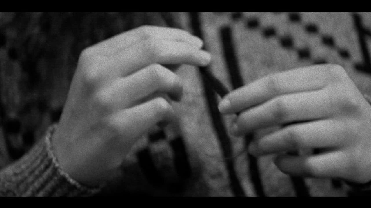 Backdrop – Together