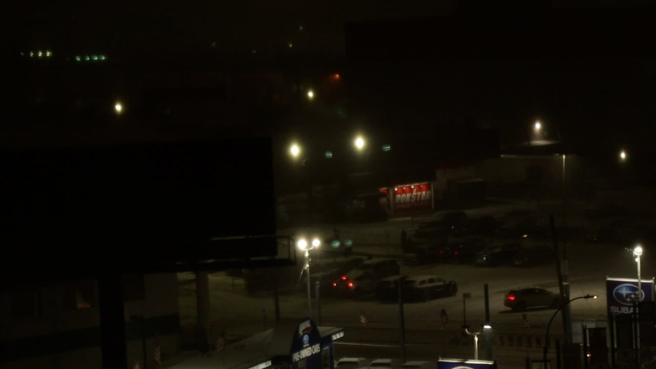 Backdrop – a walk with homer j.