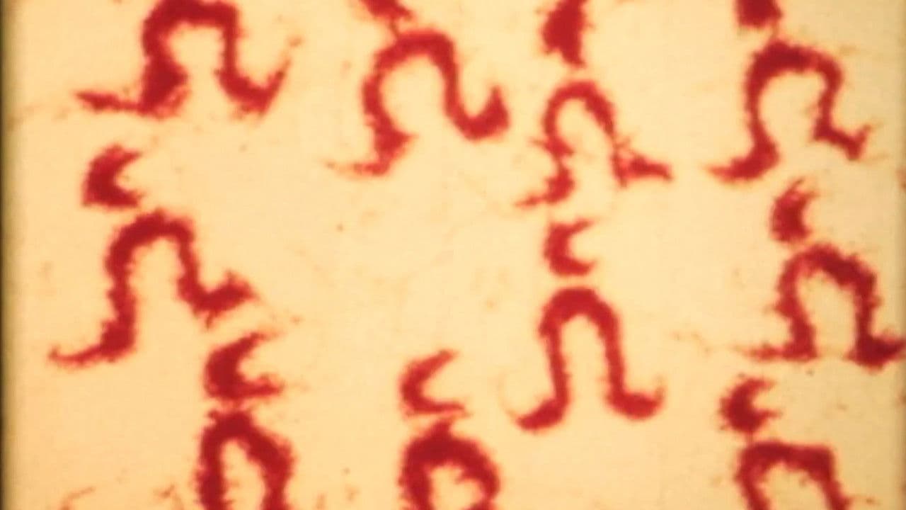 Backdrop – Sandman