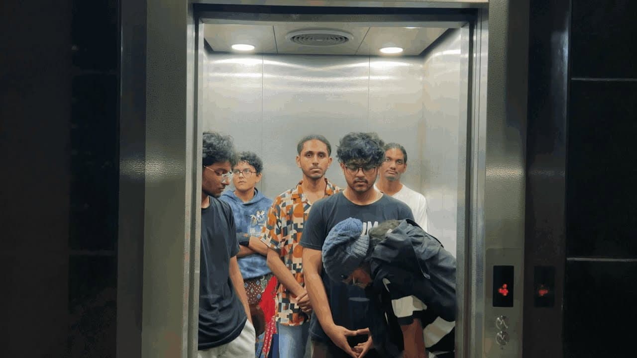 Backdrop – CONCRETE DOGS