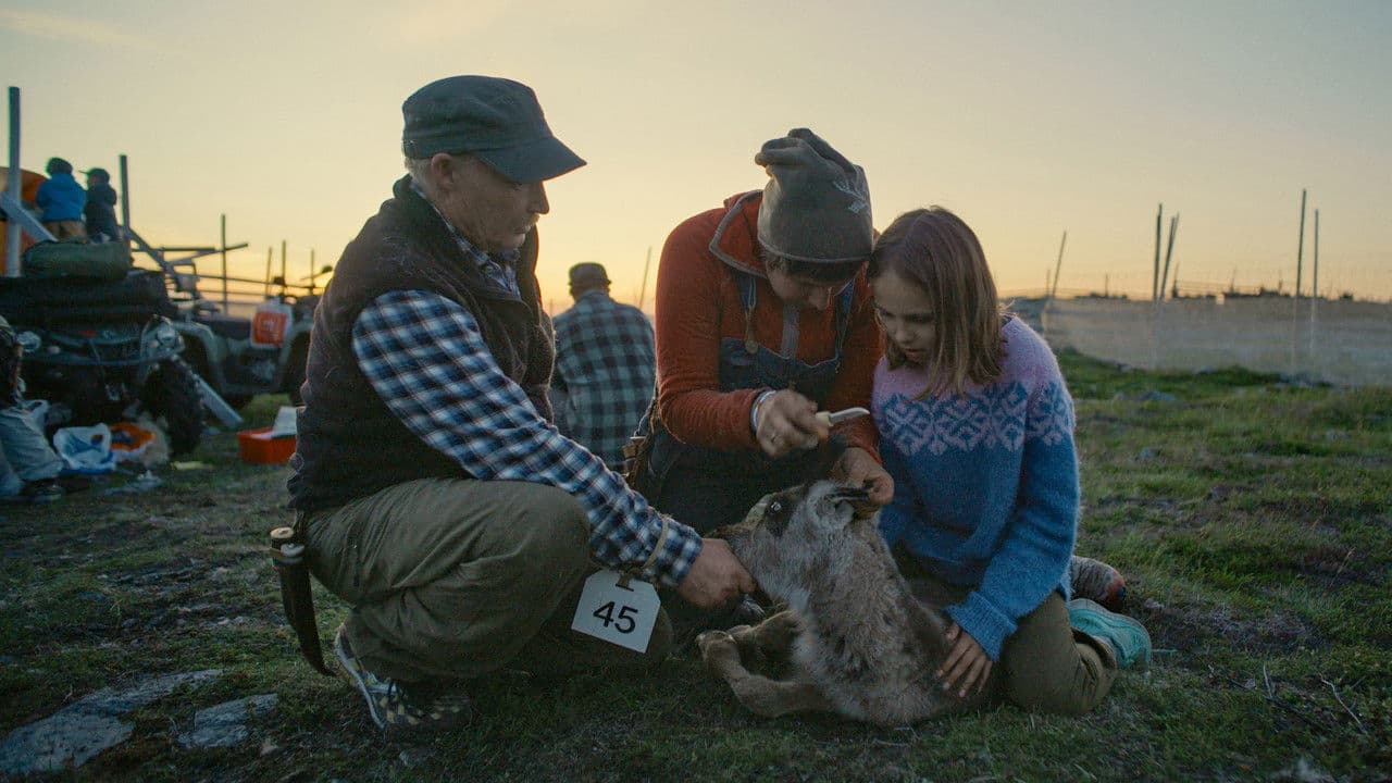 Backdrop – La fjella leve