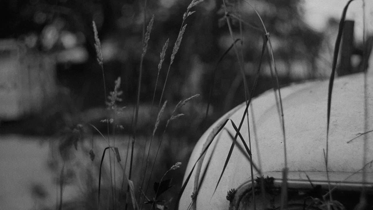 Backdrop – Five Paths