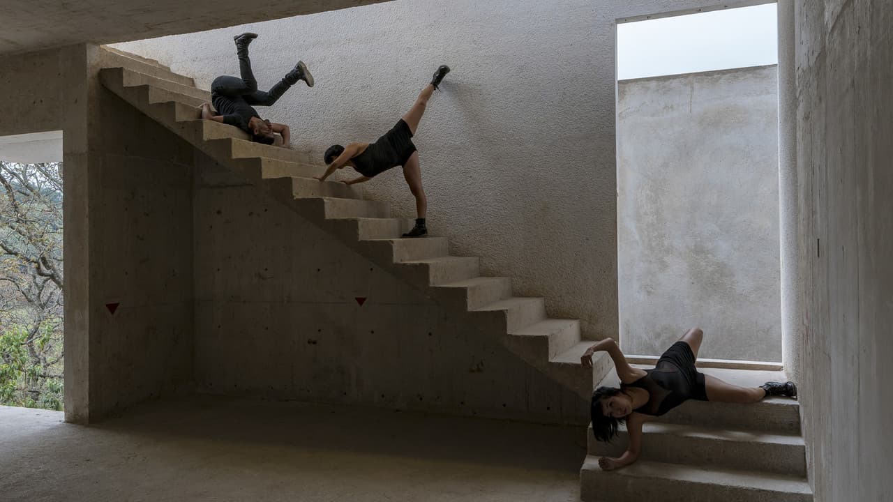 Backdrop – Dimensión Cero