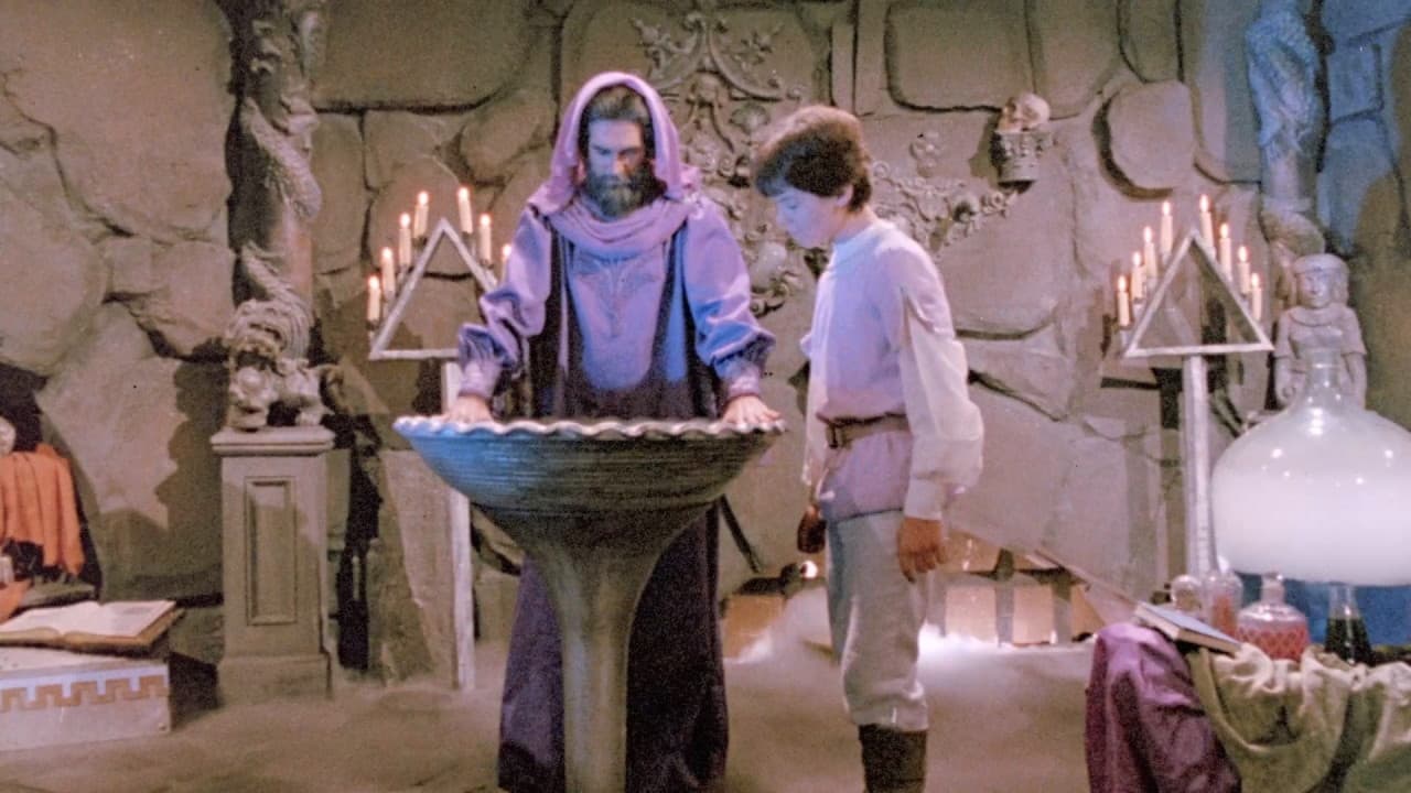 Backdrop – Wizards of the Lost Kingdom