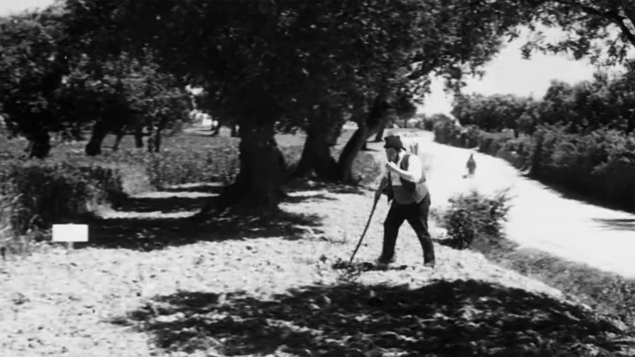 Backdrop – A Via Áurea