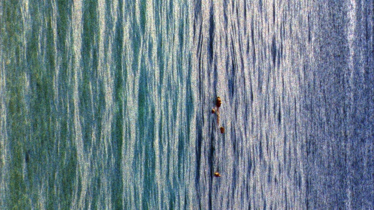 Backdrop – Apple Pie