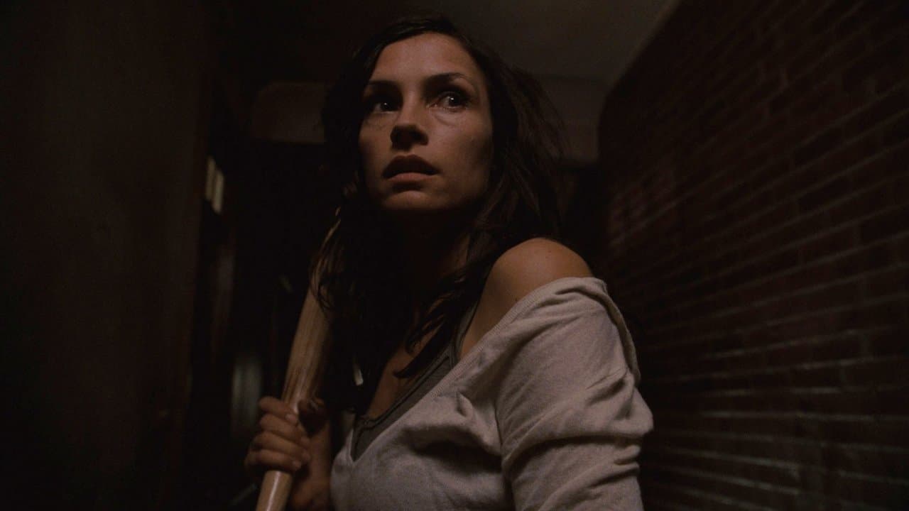 Backdrop – 100 Feet