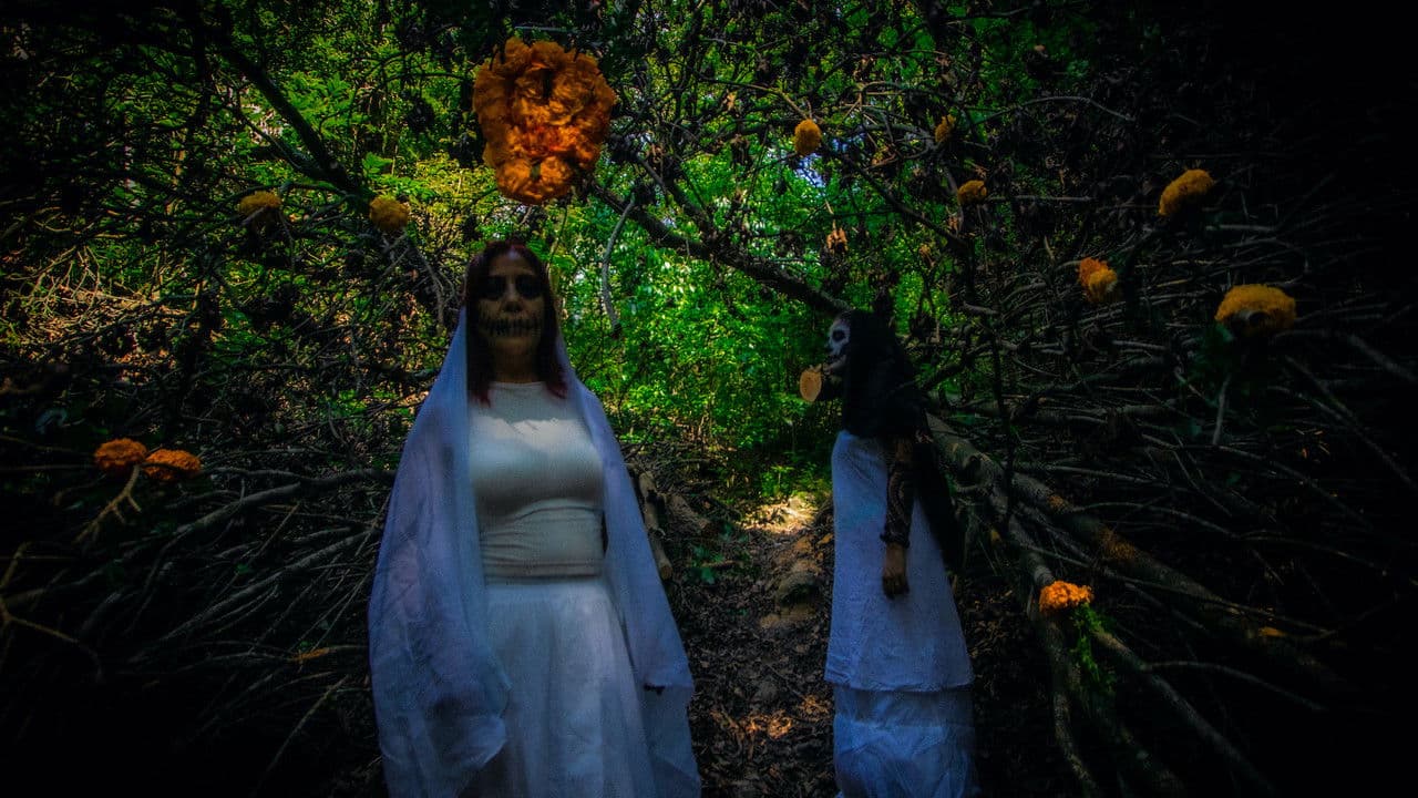 Backdrop – Senderos de Vida