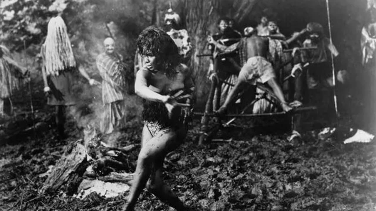 Backdrop – Curse of the Voodoo