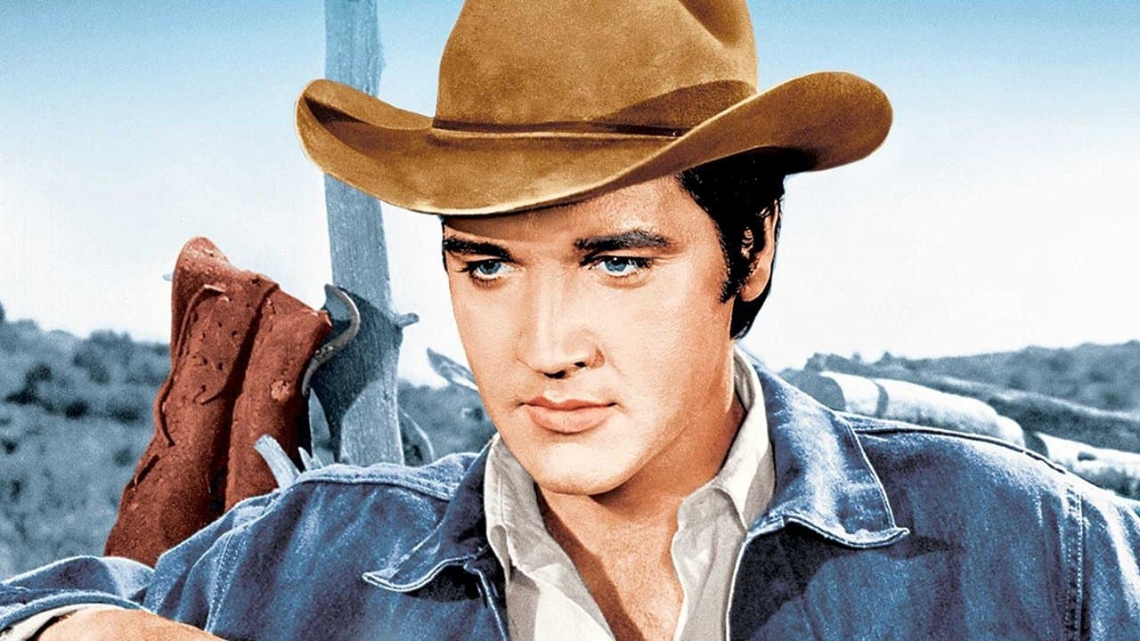 Backdrop – Harte Fäuste, heiße Lieder