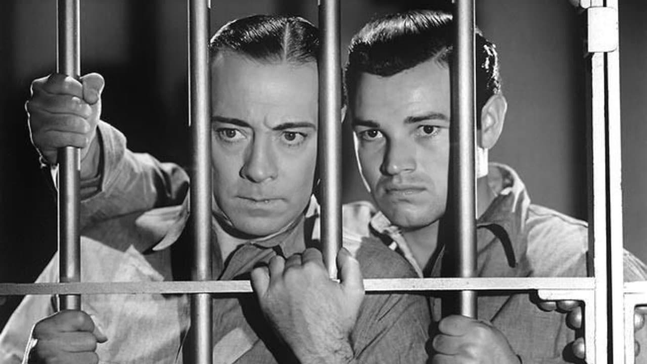 Backdrop – They All Come Out