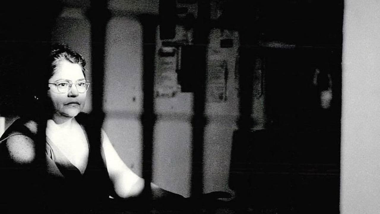 Backdrop – Socorro Nobre