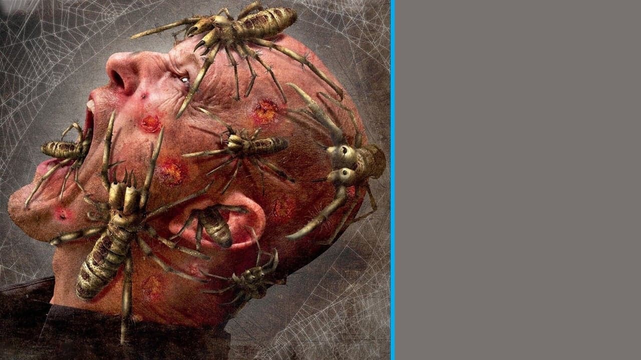 Backdrop – Camel Spiders - Angriff der Monsterspinnen