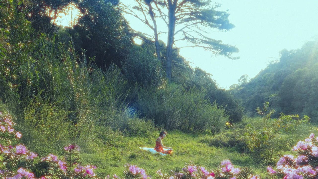 Backdrop – Mi Jardín