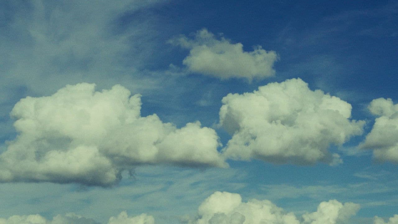 Backdrop – Live a Little