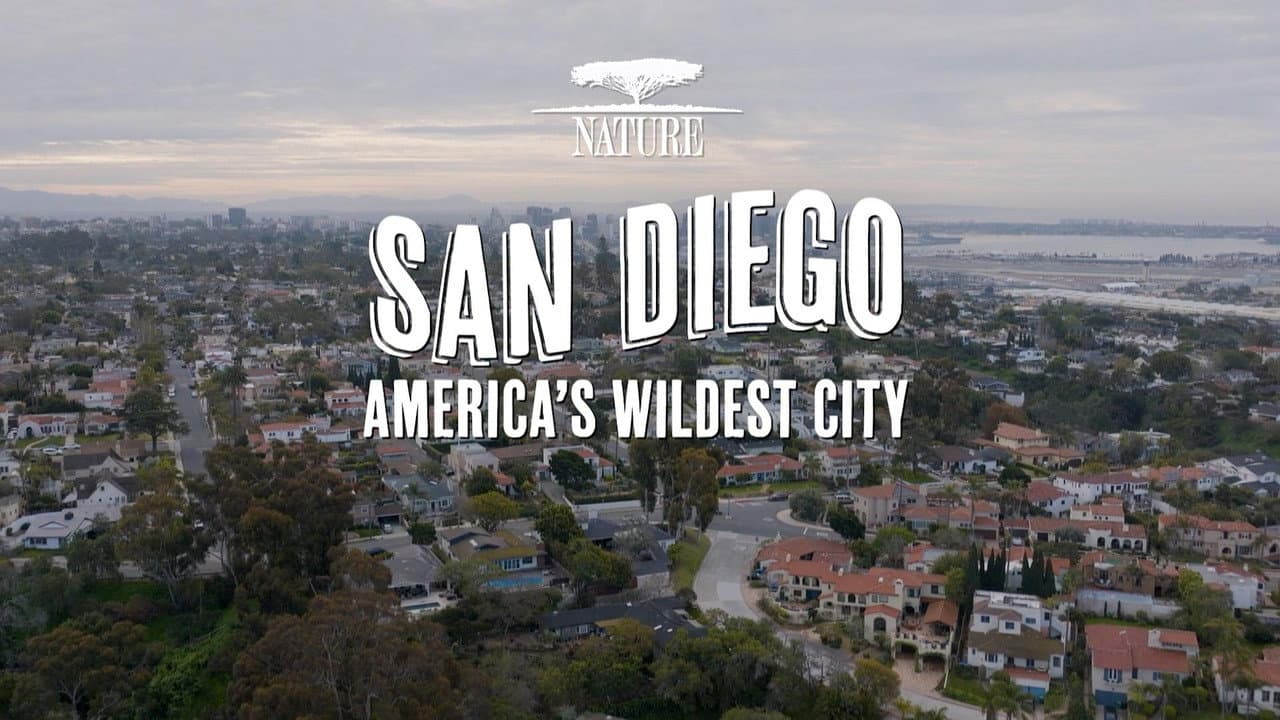 Backdrop – San Diego: America's Wildest City