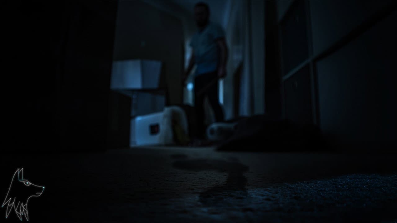 Backdrop – Footsteps