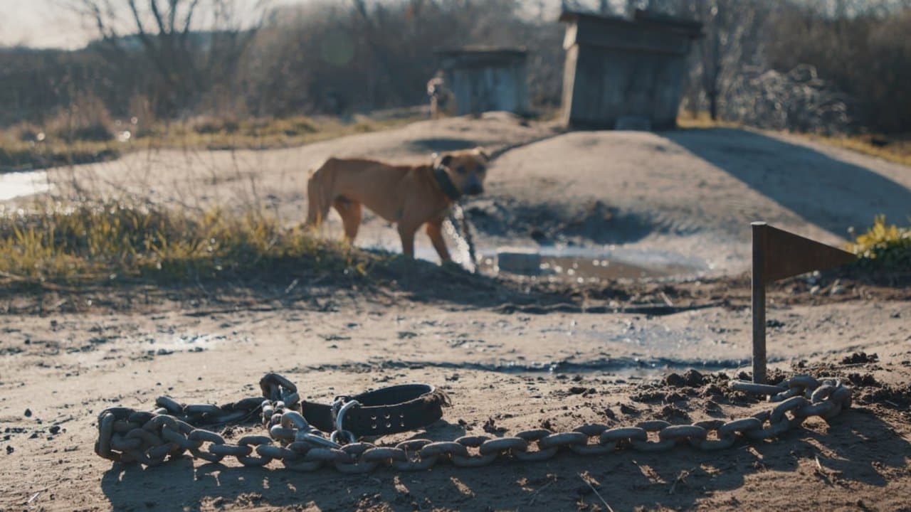 Backdrop – У пошуках Ніки