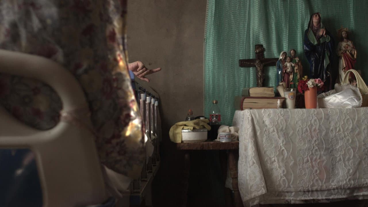Backdrop – Buenos días, Margarita