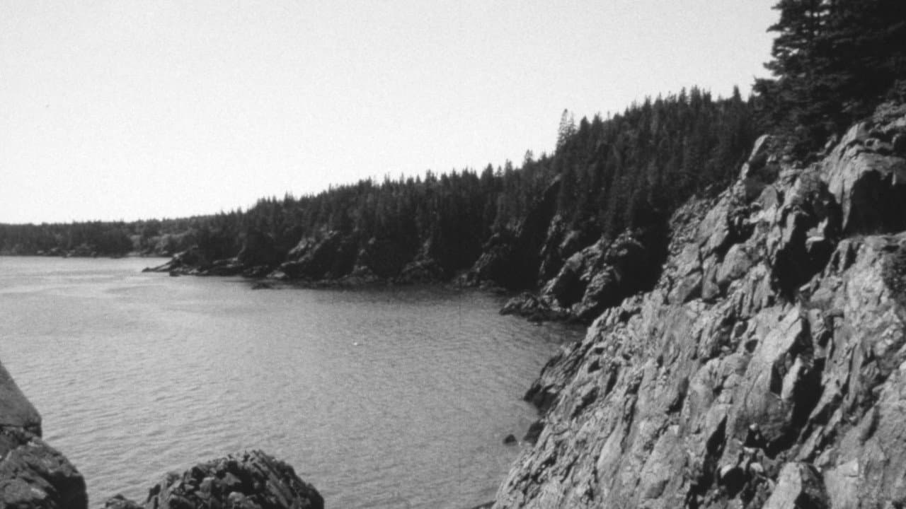 Backdrop – The Forest and The Sea