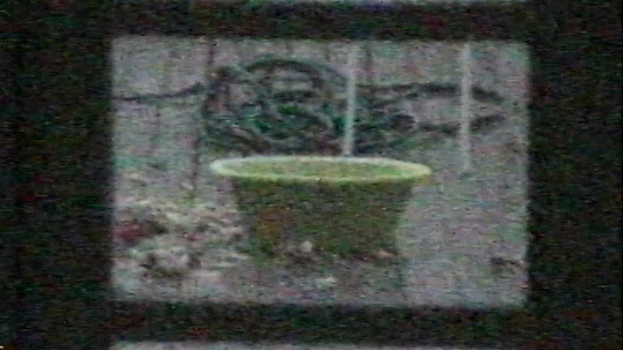 Backdrop – Bacia das Almas