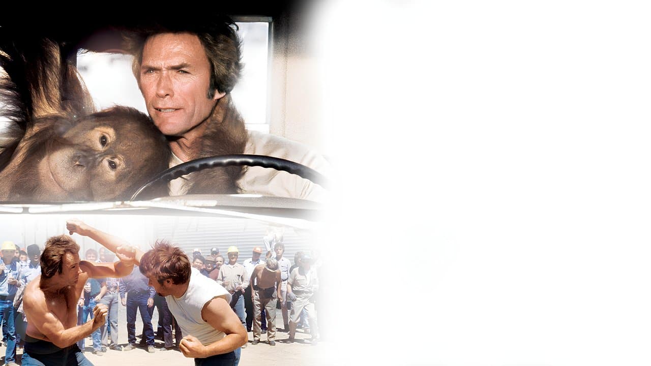 Backdrop – Der Mann aus San Fernando