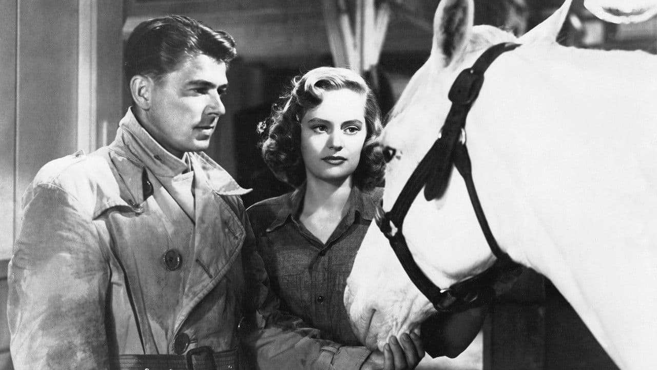 Backdrop – Stallion Road