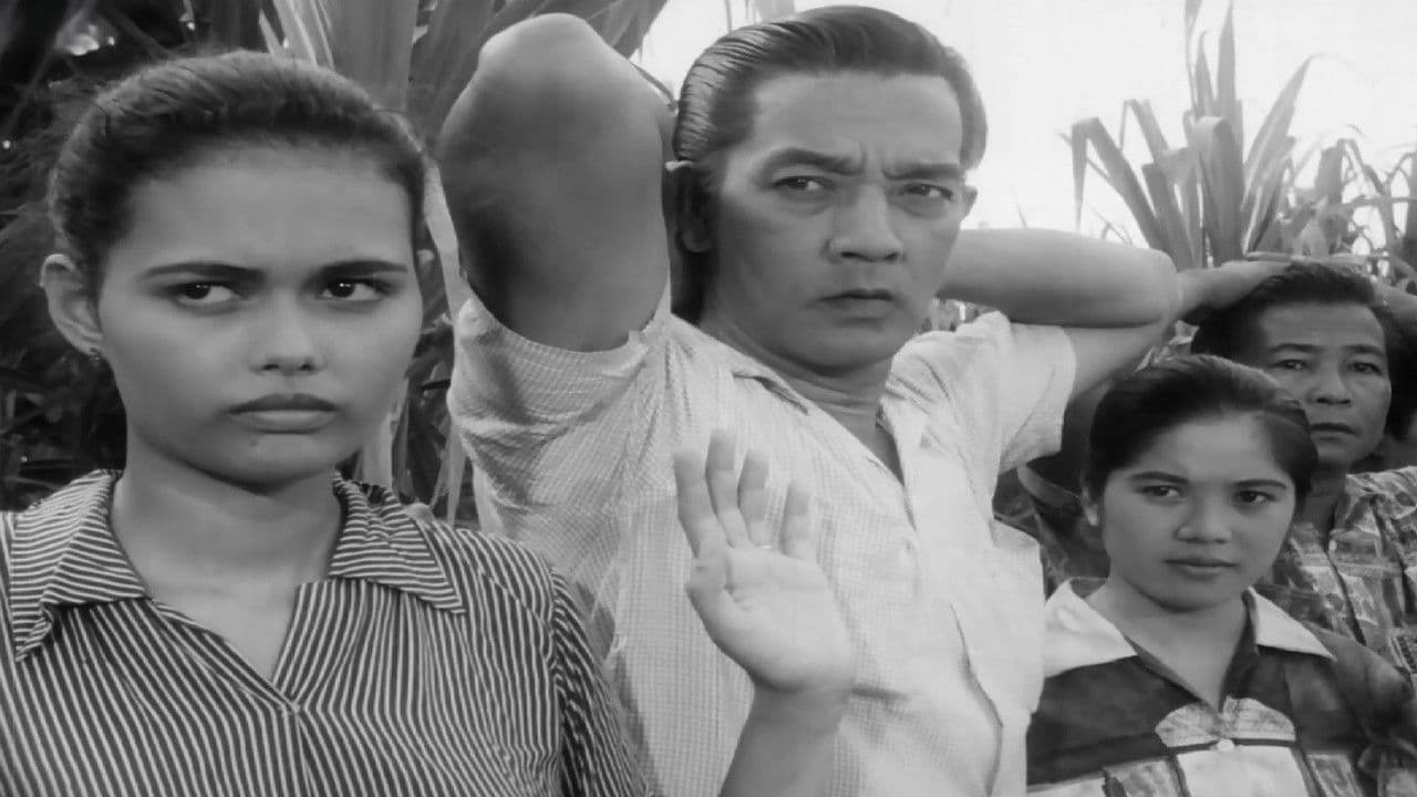 Backdrop – The Moises Padilla Story