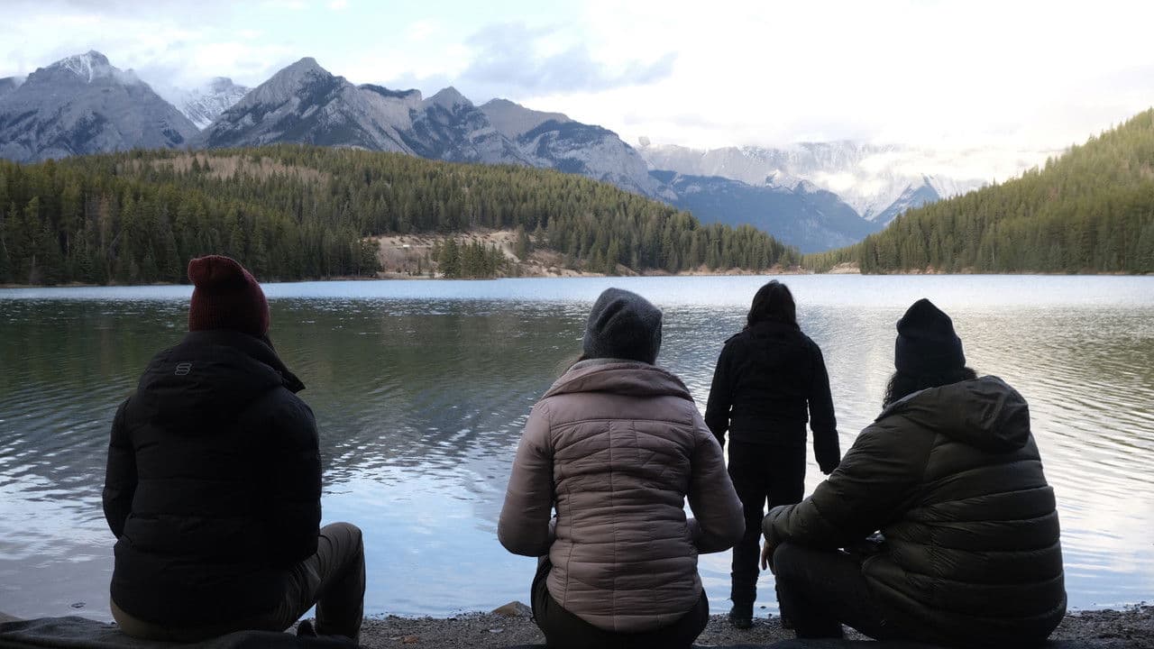 Backdrop – Meadowlarks