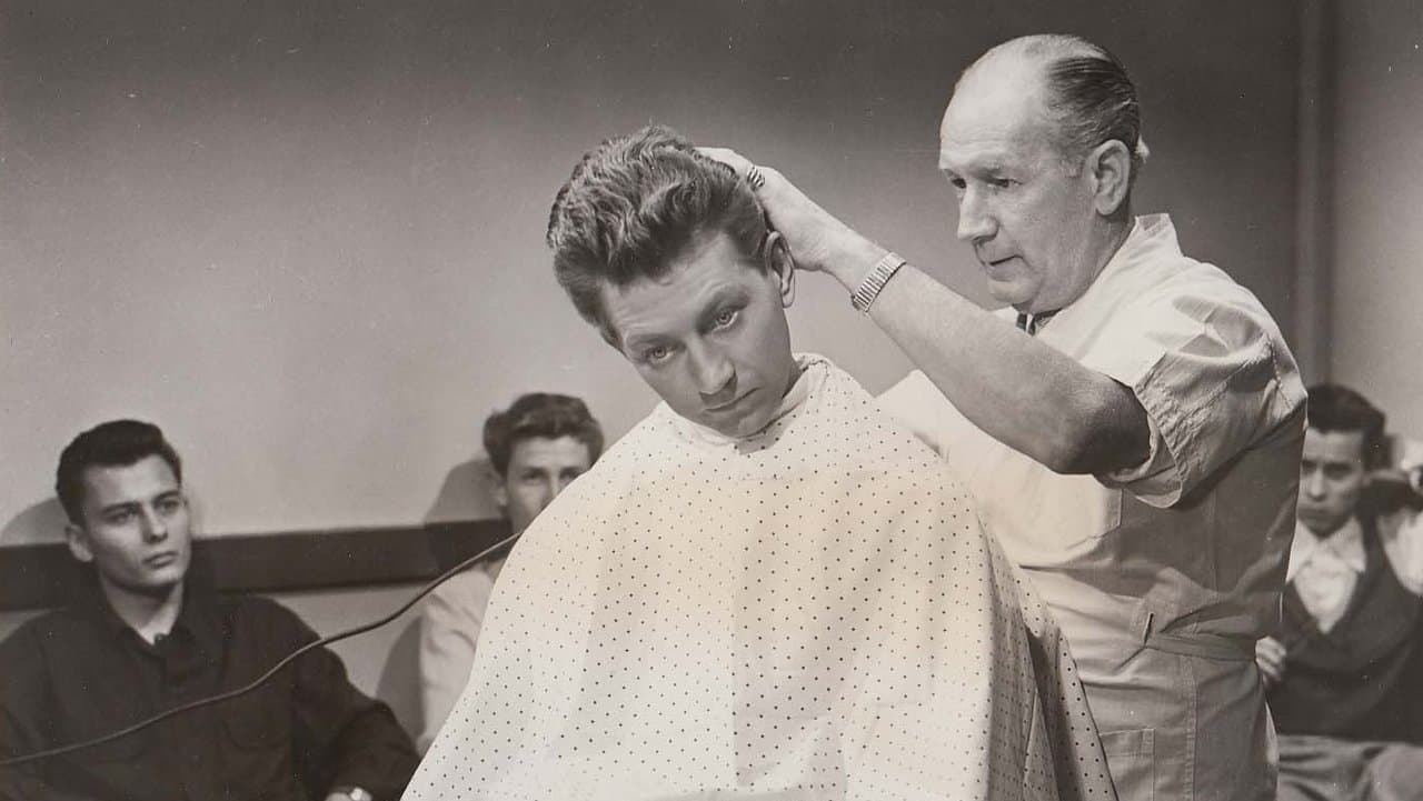 Backdrop – Francis Goes to West Point