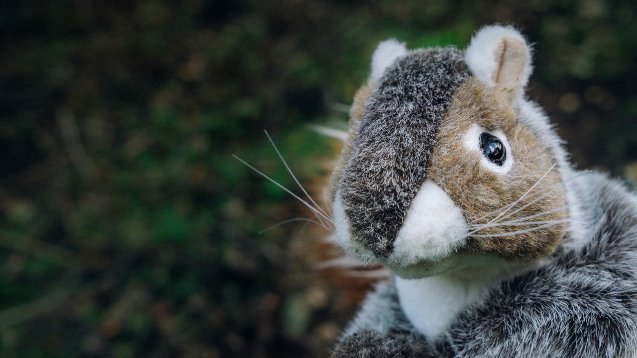 Backdrop – Life Abode