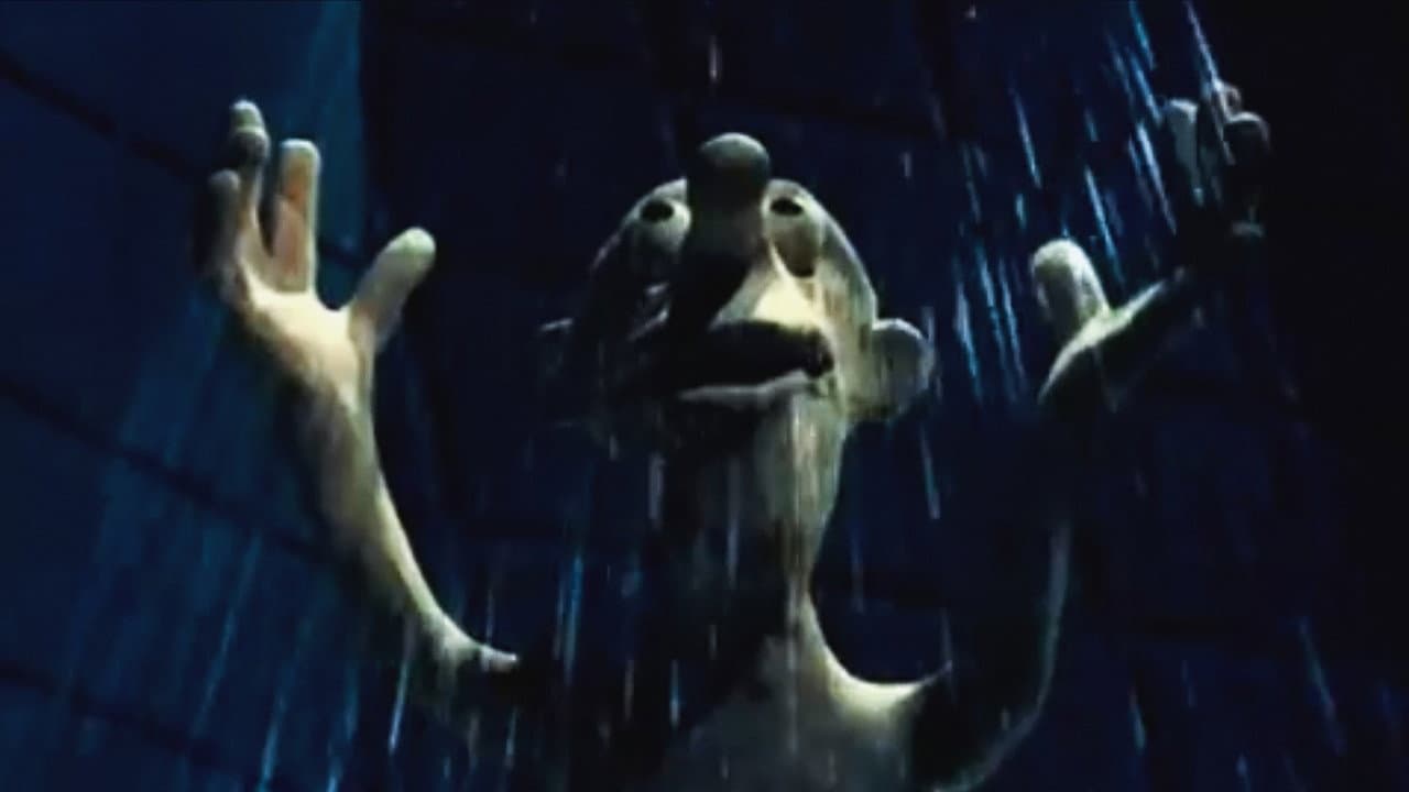 Backdrop – Randevú
