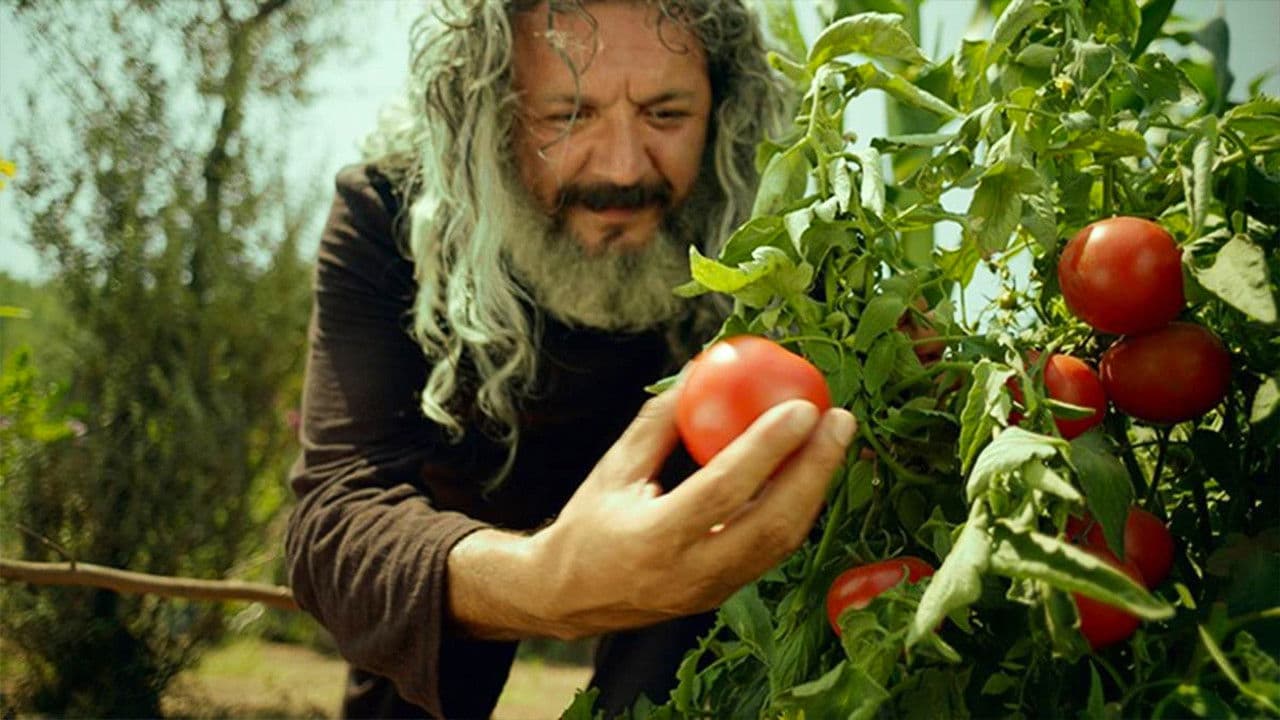 Backdrop – Mandıra Filozofu