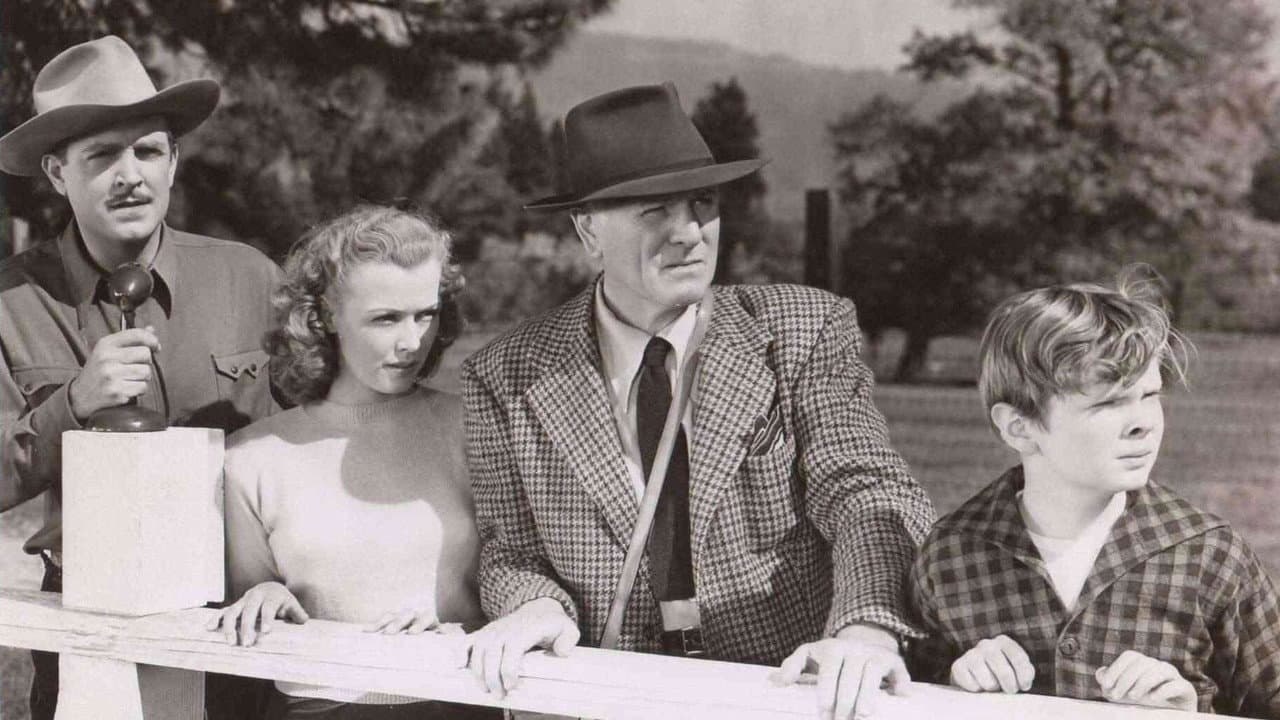 Backdrop – Der rote Teufel