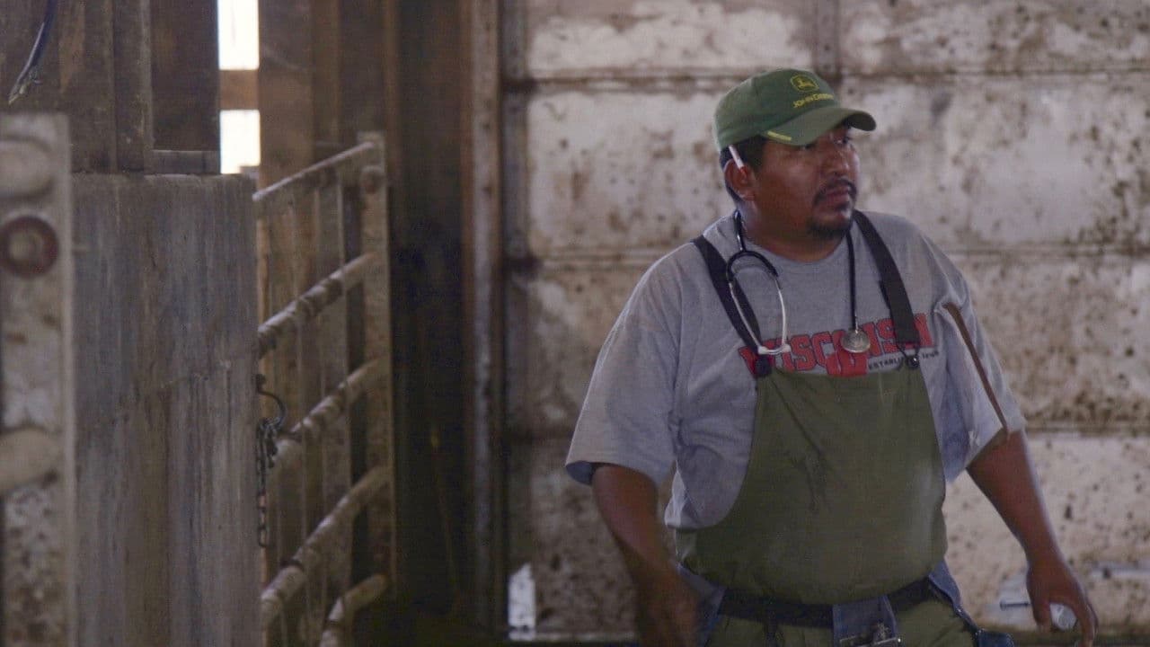 Backdrop – Los Lecheros