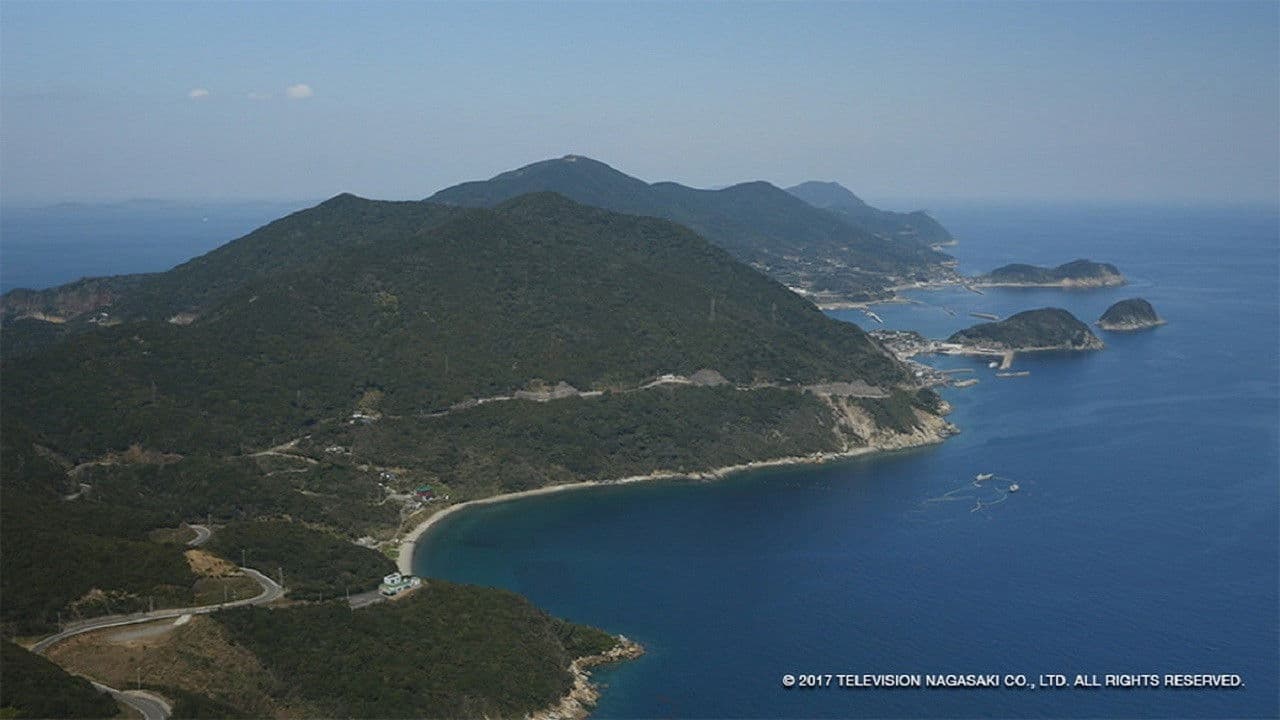 Backdrop – 五島のトラさん