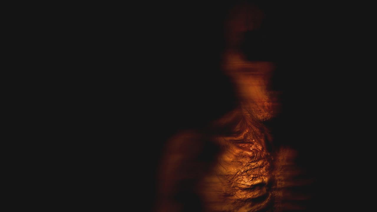 Backdrop – No me sigas