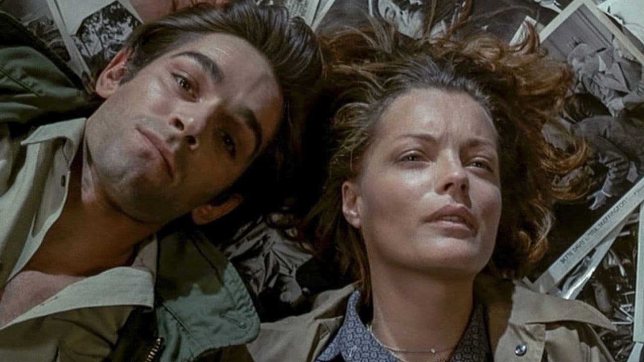 Backdrop – Nachtblende