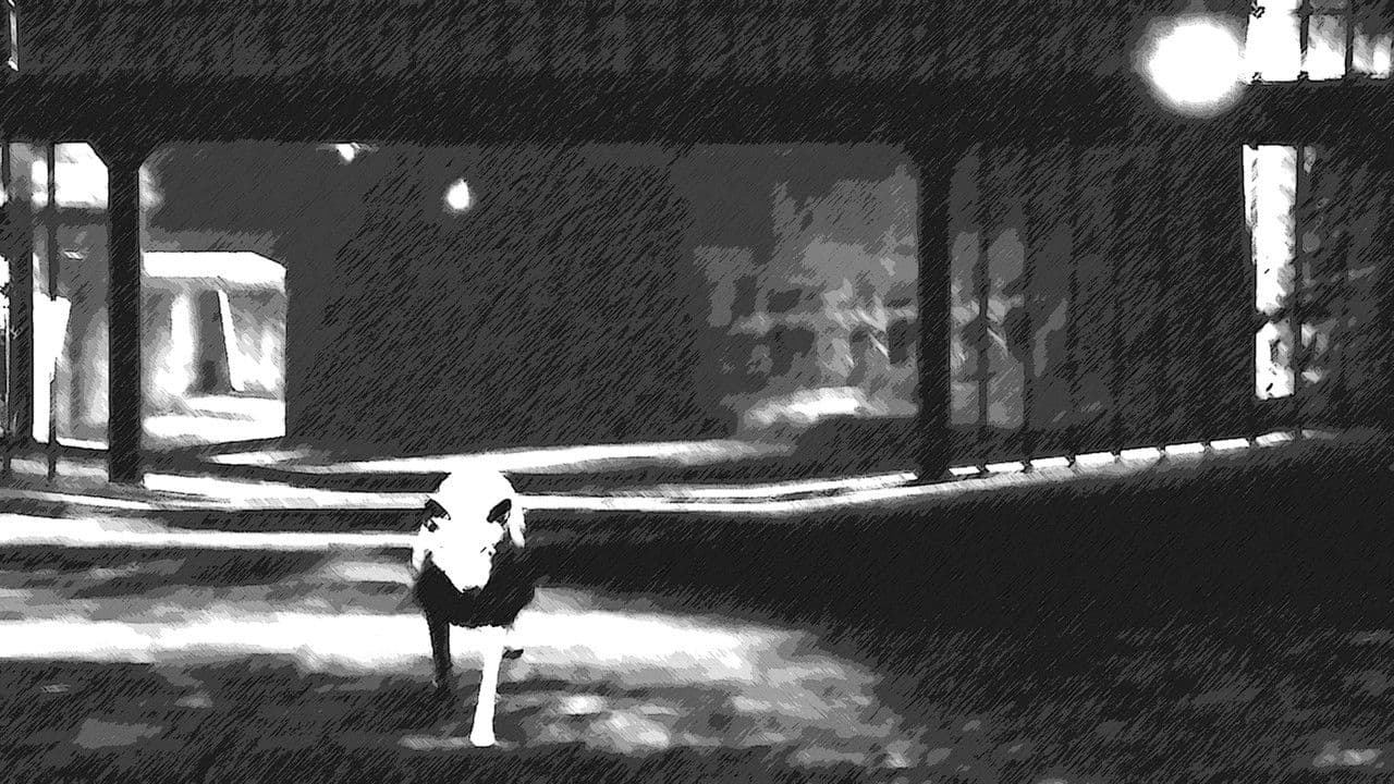 Backdrop – A Coyote Walks