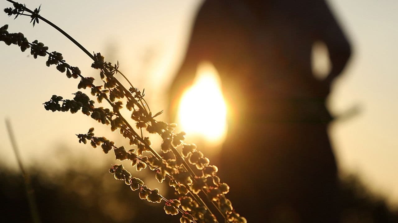 Backdrop – Zahrada Boží