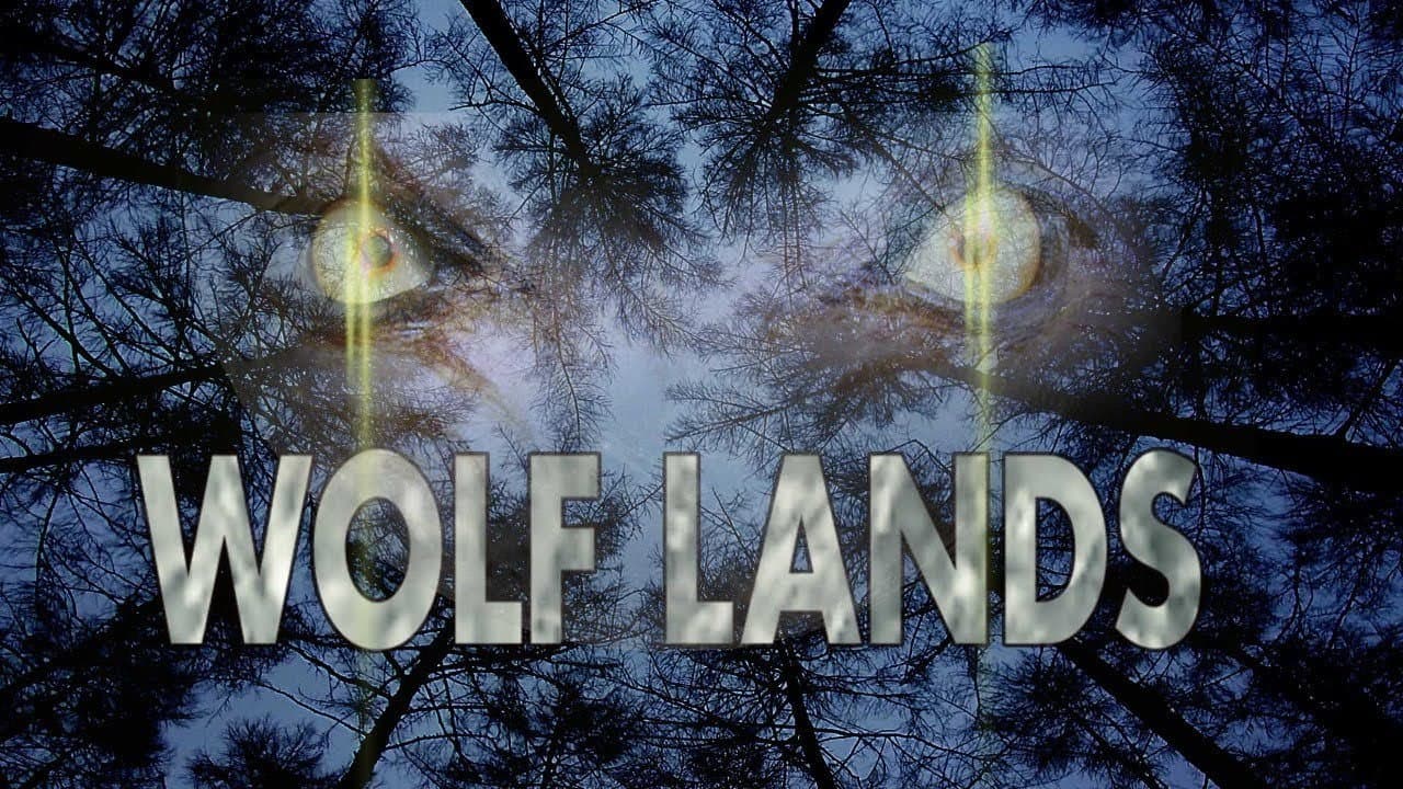 Backdrop – Wolf Lands